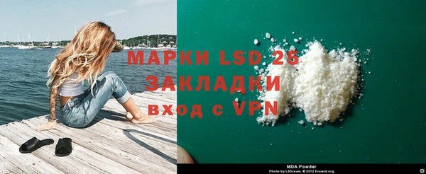 индика Белокуриха