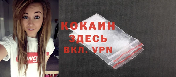 индика Белокуриха