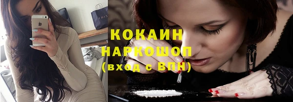 индика Белокуриха