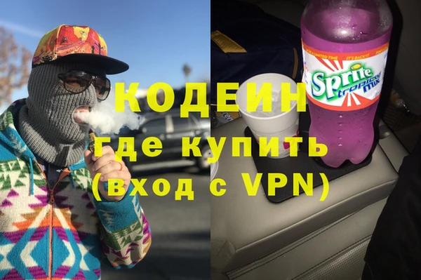 индика Белокуриха