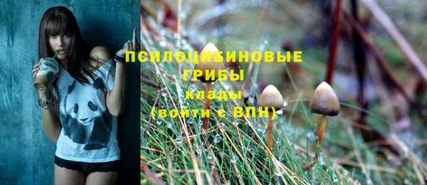 индика Белокуриха