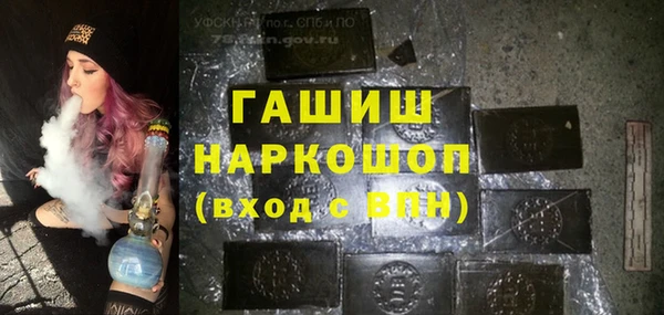 индика Белокуриха